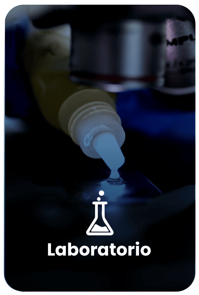 lab-01